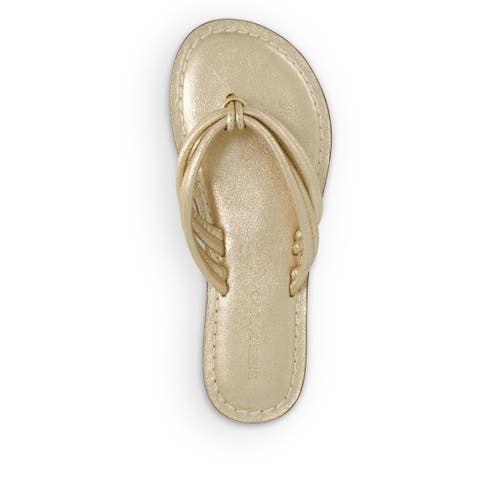 Bernardo Footwear Miami Thong Sandal In Distressed Platinum