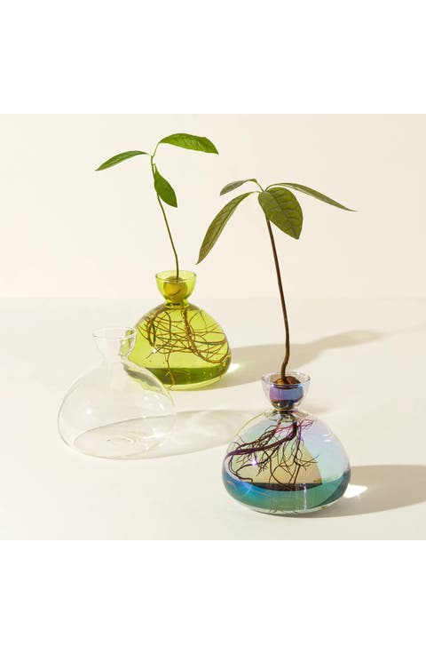 Avocado Vase by ilex Studio