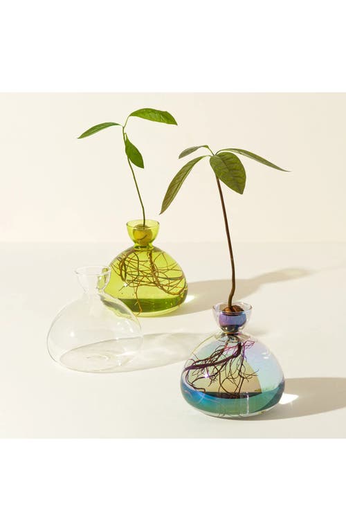 Ilex Studio Avocado Vase In Multi