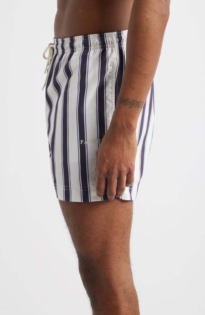 PacSun Mandarin Coal Stripe Swim Trunks, Alternate, color, 