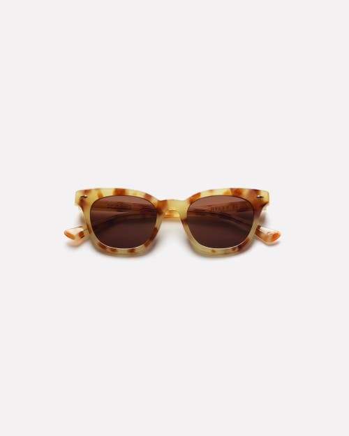 Epokhe Dylan Xs Sunglasses In Brown