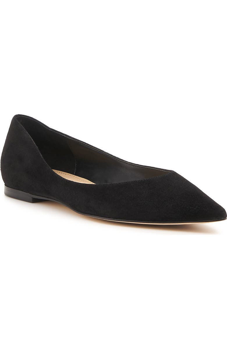 Botkier Annika Pointed Toe Flat, Main, color,