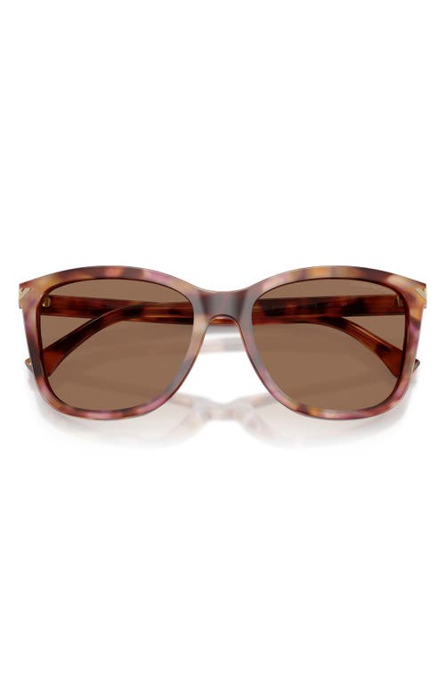 Emporio Armani 56mm Gradient Square Sunglasses In Brown