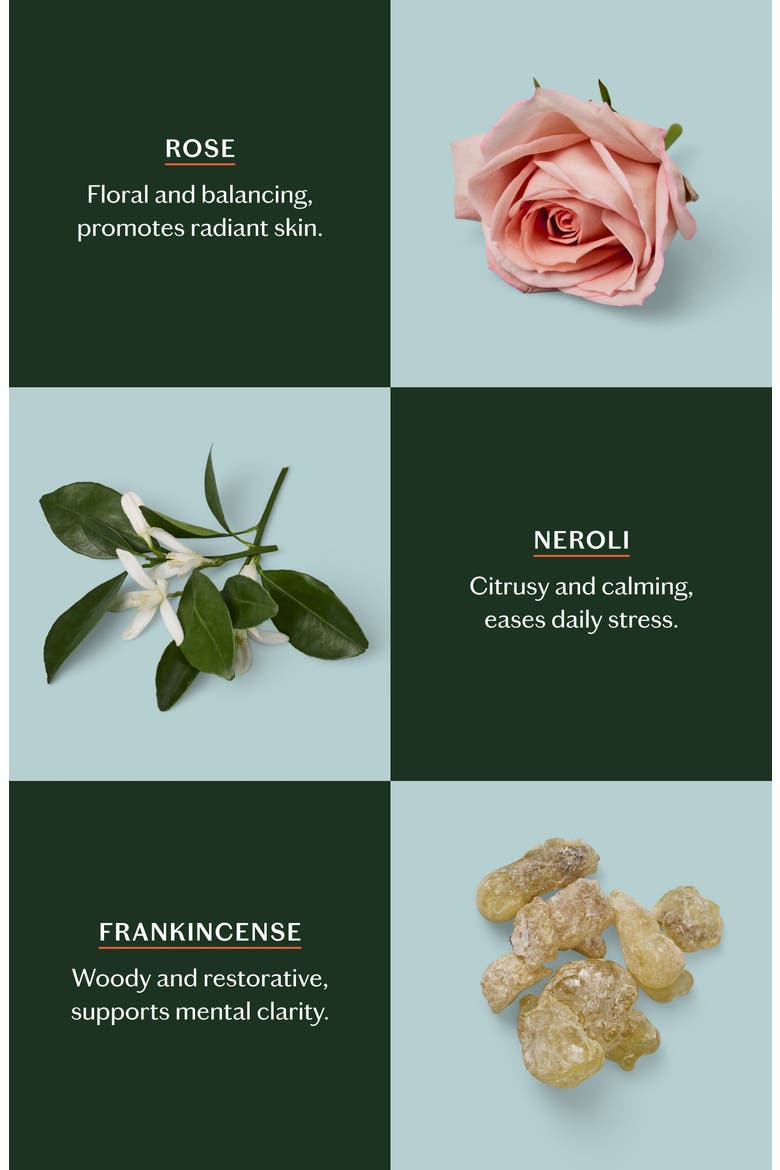 Daily Stone - Moisturizing Lotion Bar with Rose, Frankincense & Neroli, Alternate, color, STARTER KIT