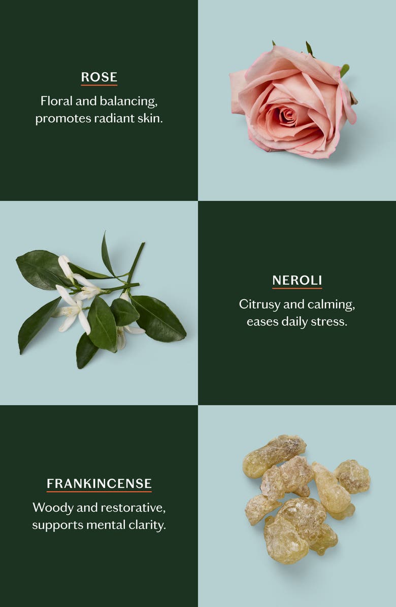 Kate McLeod Daily Stone - Moisturizing Lotion Bar with Rose, Frankincense & Neroli, Alternate, color, Starter Kit