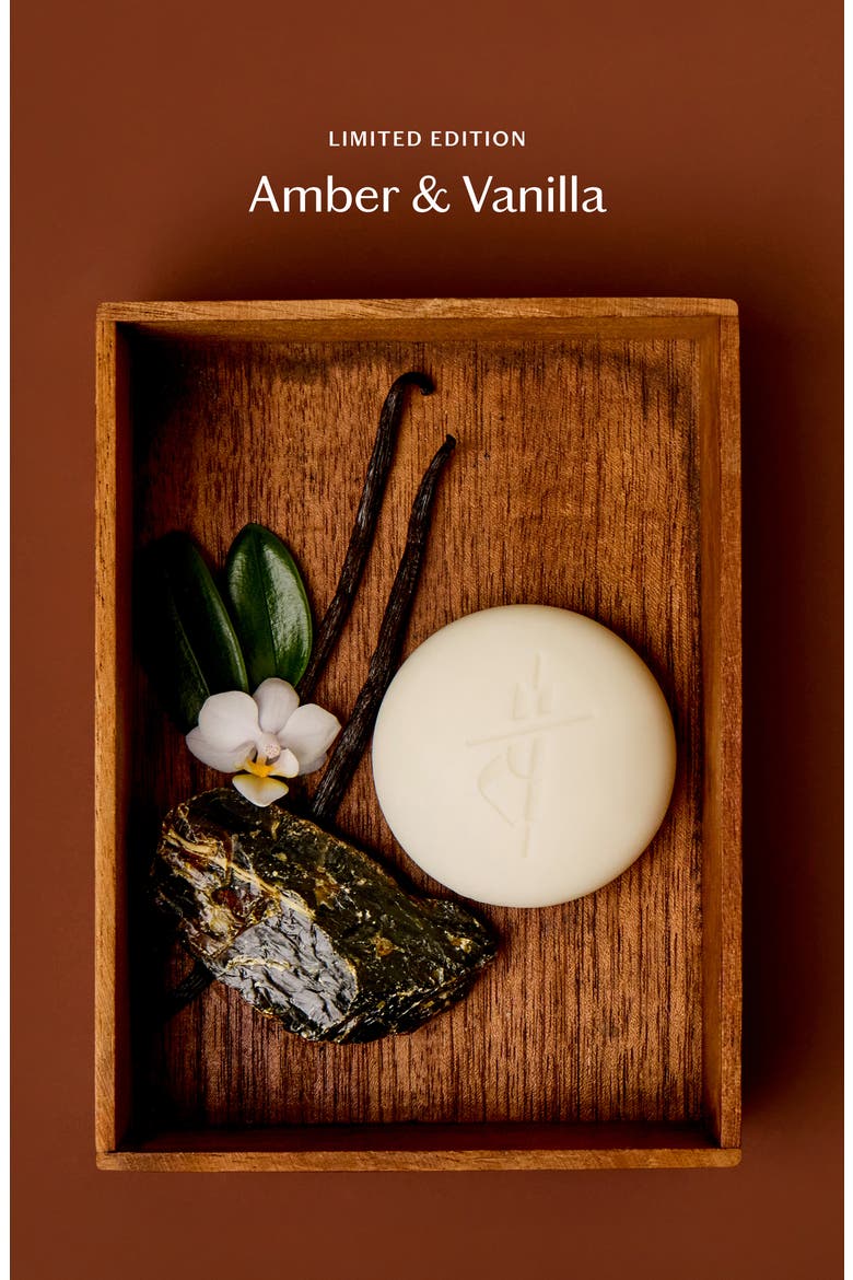 Amber & Vanilla Body Stone - Moisturizing Lotion Bar (Limited Edition), Alternate, color, NO COLOR