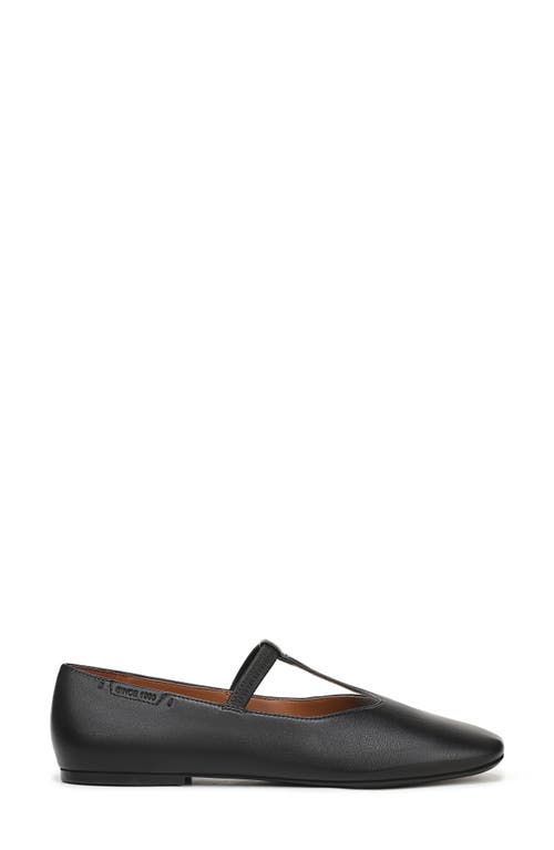 Franco Sarto Maaja T-strap Flat In Multi