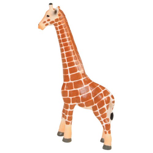 Kaplan Early Learning Company Jungle Animals In Multi