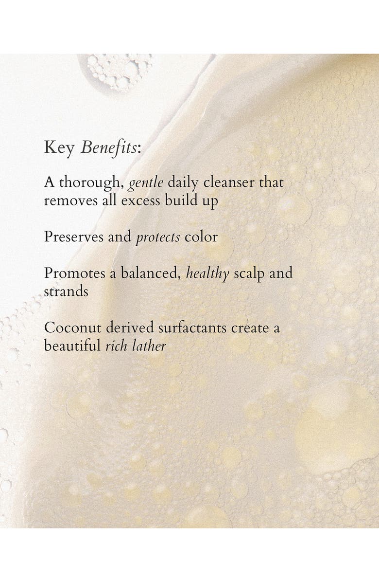 Foundation Shampoo