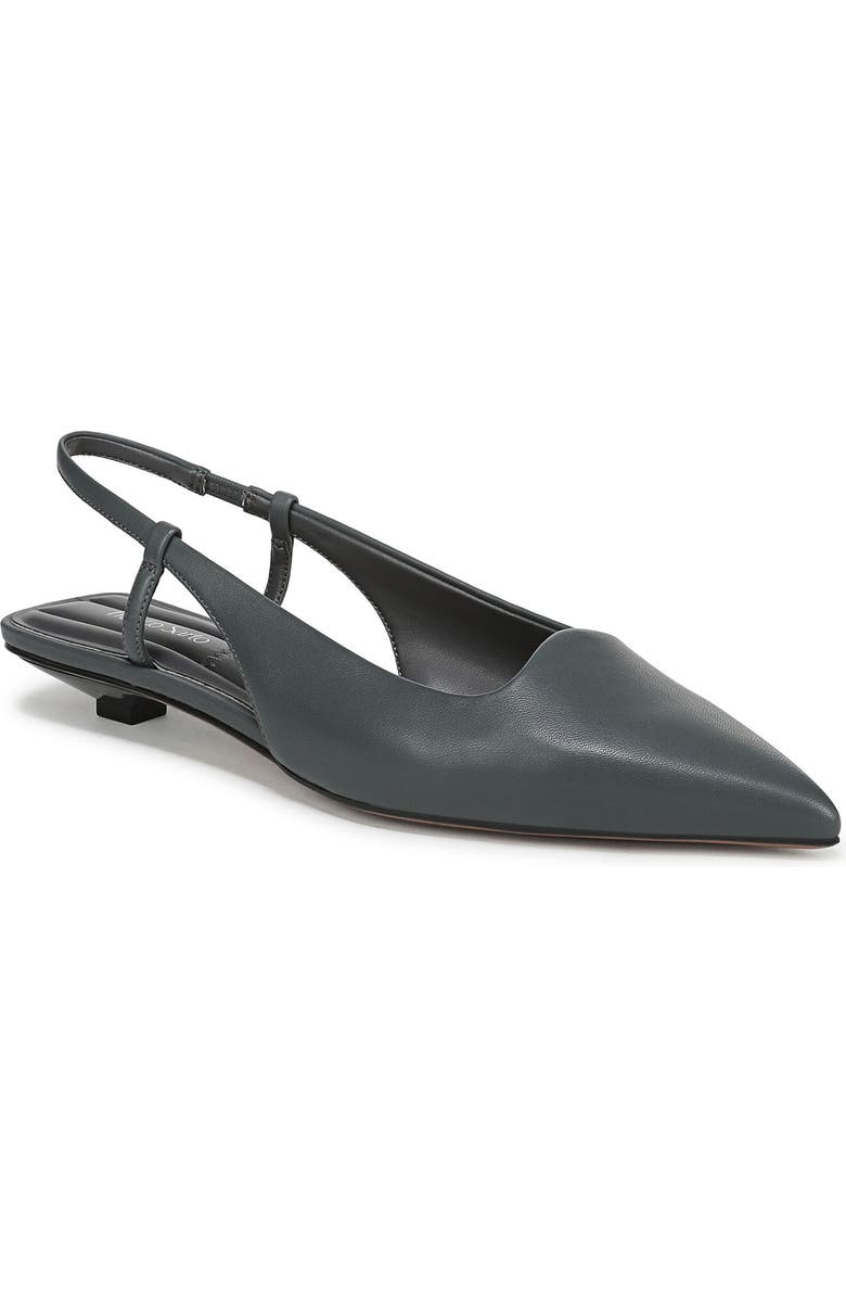 Franco Sarto Palmira Slingback Pointed Toe Pump - Wide Width Available, Main, color, Slate Blue