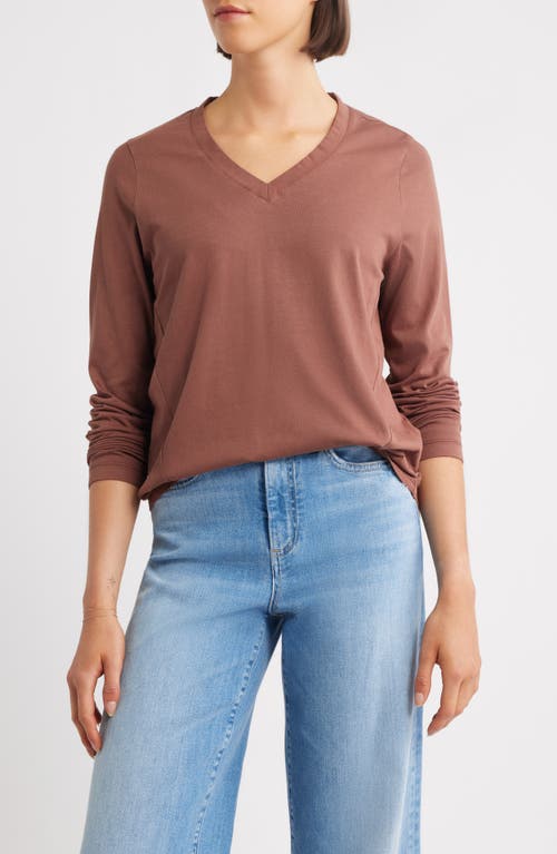 City Blues Beth Long Sleeve T-shirt In Brown