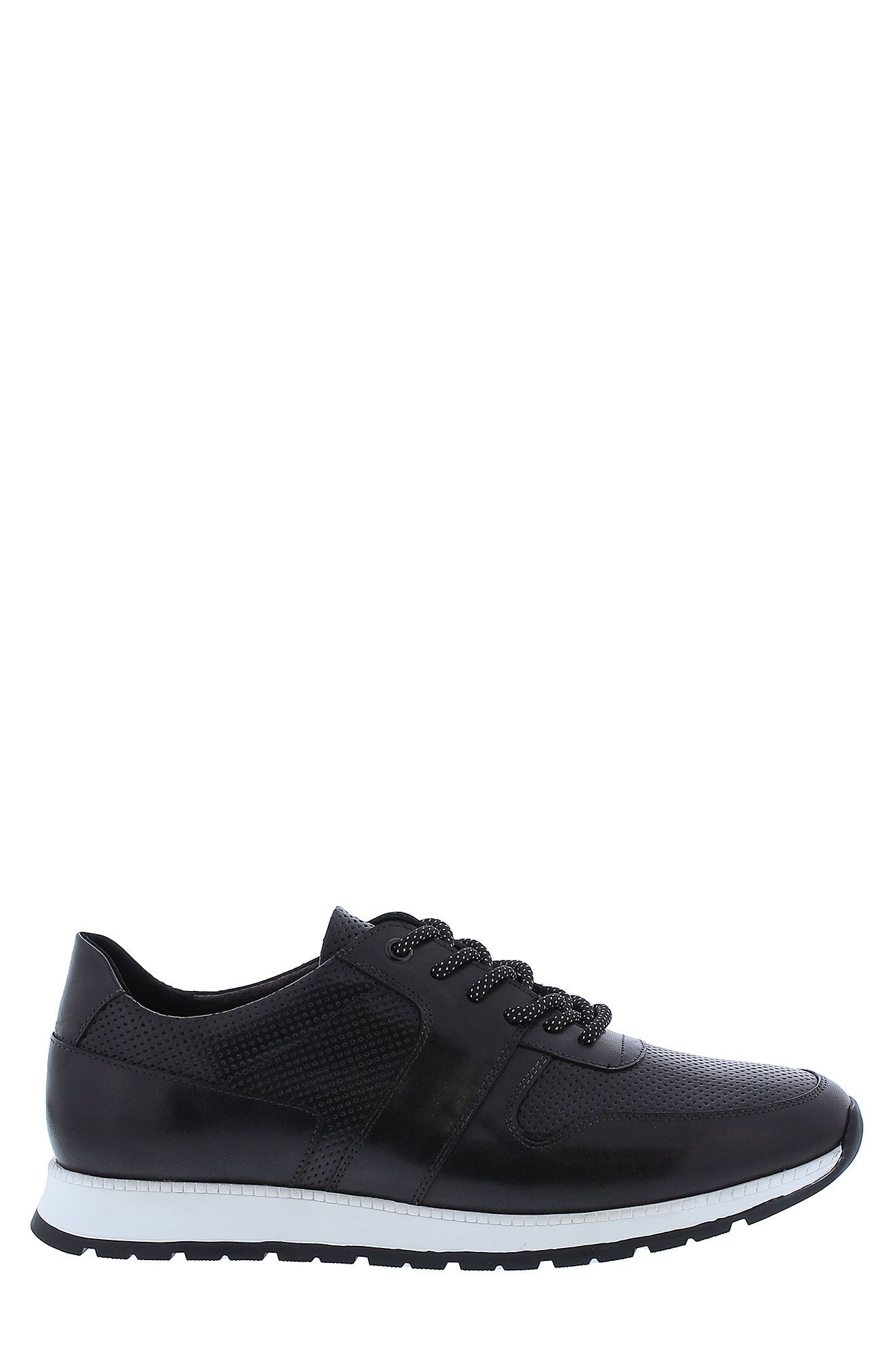 Zanzara Whitley Leather Perforated Sneaker, Alternate, color, 
