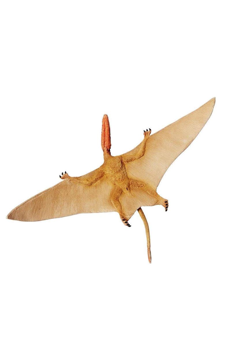 Safari Ltd. Dimorphodon Toy, Alternate, color, NO COLOR