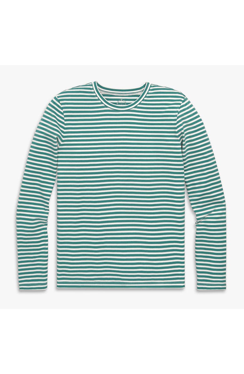 Primary Adult Long Sleeve Everyday Stripe Tee, Main, color, Ivory Sunwashed Teal Stripe