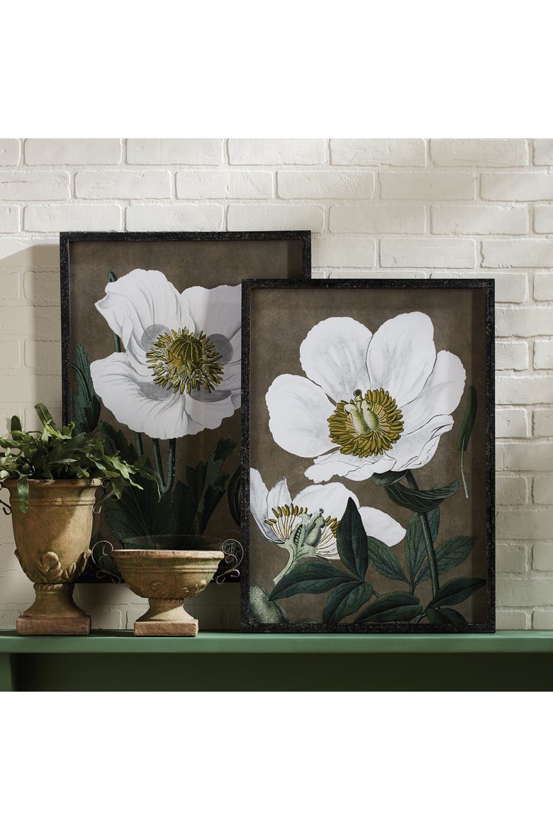19.75" x 27.5" Stunning Poppy Floral Flower Art Prints in Fir Wood Frame w/ Glass Pane Set of 2, Alternate, color, Gray