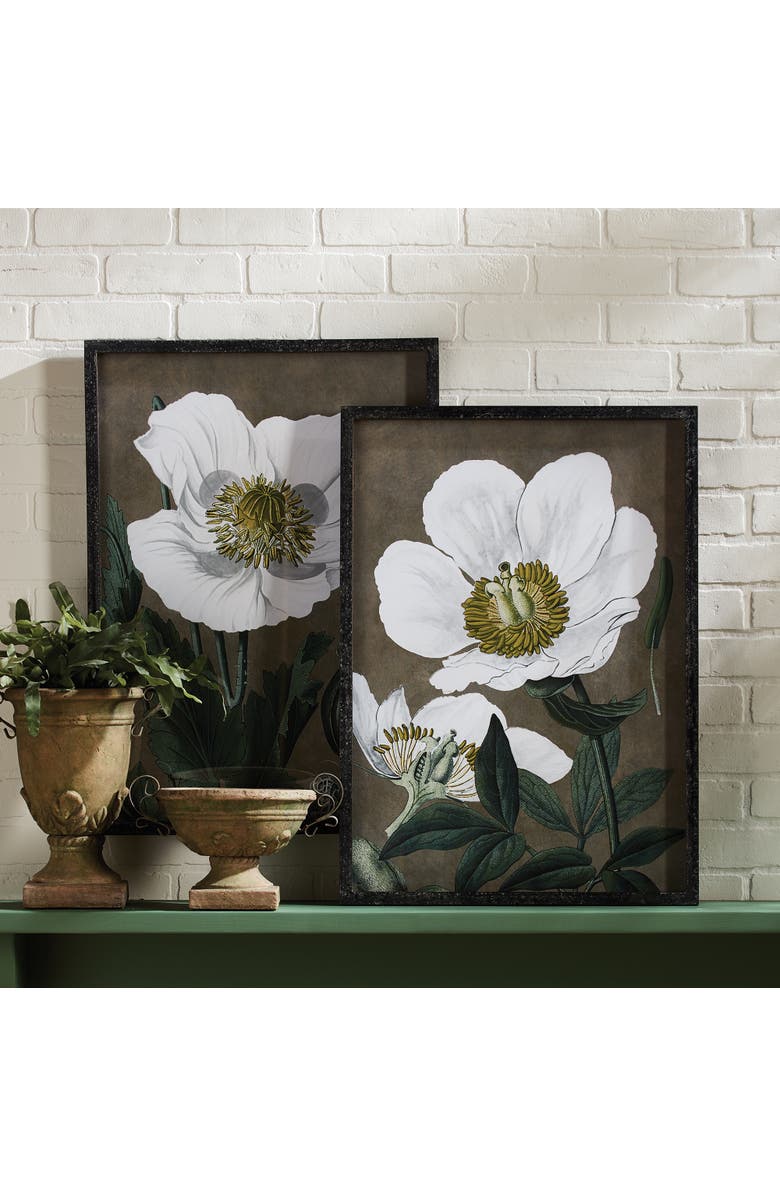 Napa Home & Garden 19.75" x 27.5" Stunning Poppy Floral Flower Art Prints in Fir Wood Frame w/ Glass Pane Set of 2, Alternate, color, Grey
