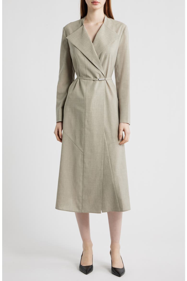 Dimosal Long Sleeve Wool Midi Dress, Main, color, PUMICE