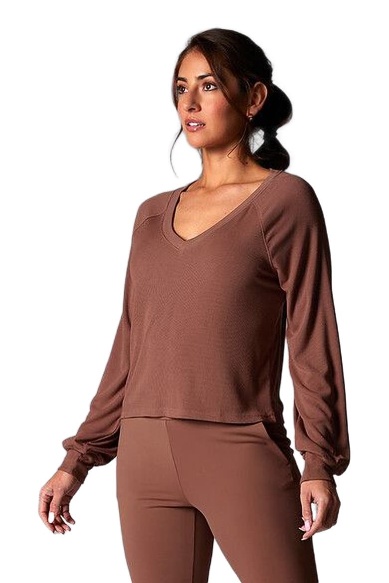 Rib Long Sleeve, Alternate, color, CLOVE