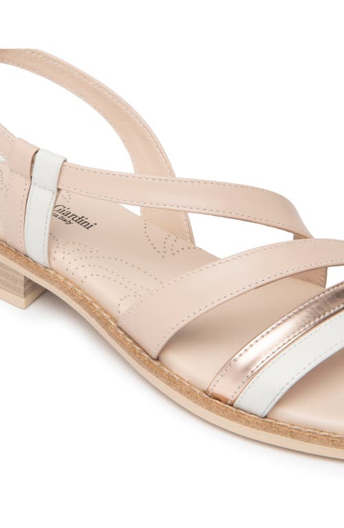 Nerogiardini Strappy Leather Sandals In Rose Multi