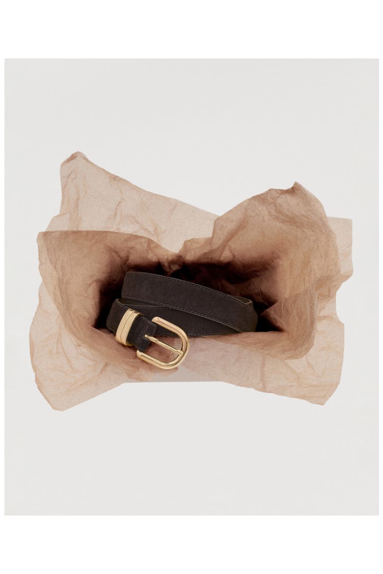 Suede Belt, Alternate, color, CHOCOLATE