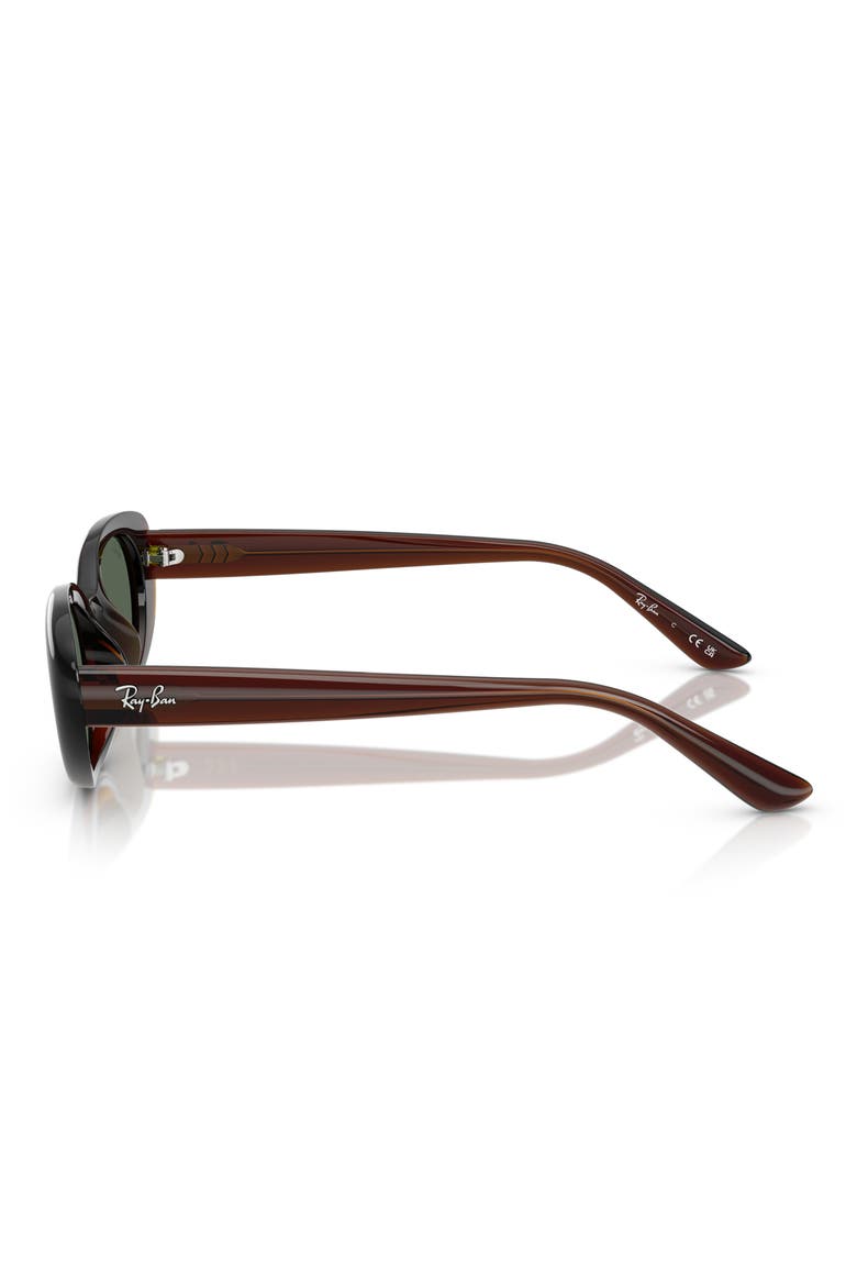 53mm Pillow Oval Sunglasses, Alternate, color, TRANSPARENT BROWN / DARK GREEN