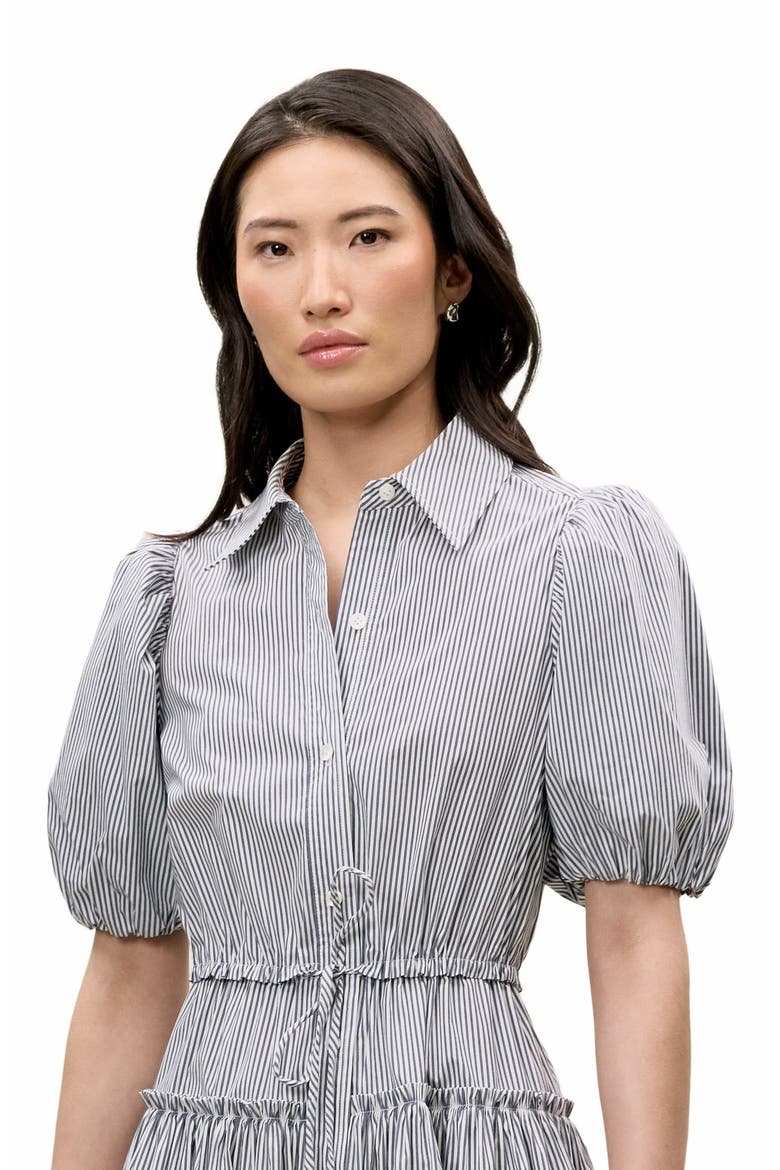 Poplin Shirt Dress, Alternate, color, BLUE STRIPE