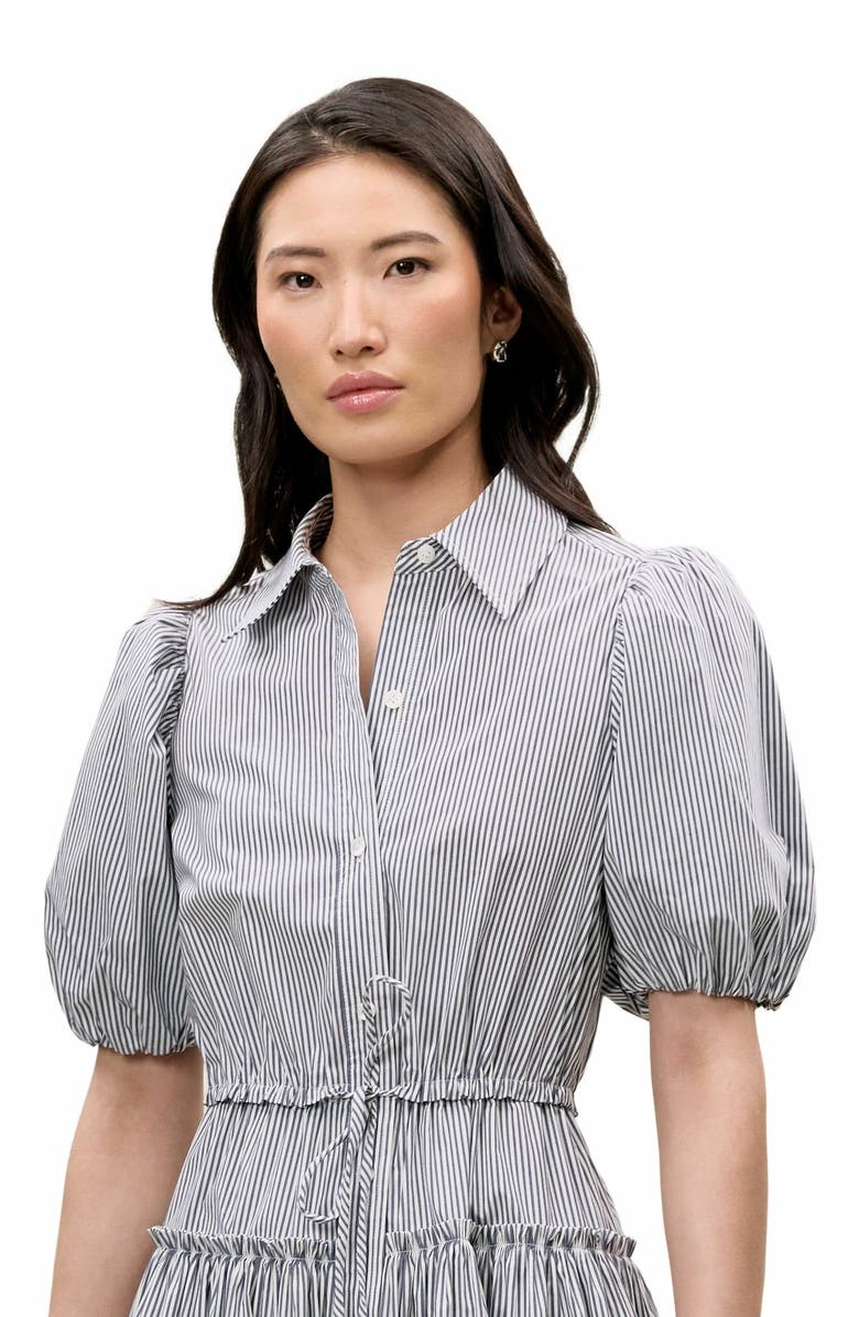 Rebecca Taylor Poplin Shirt Dress, Alternate, color, Blue Stripe