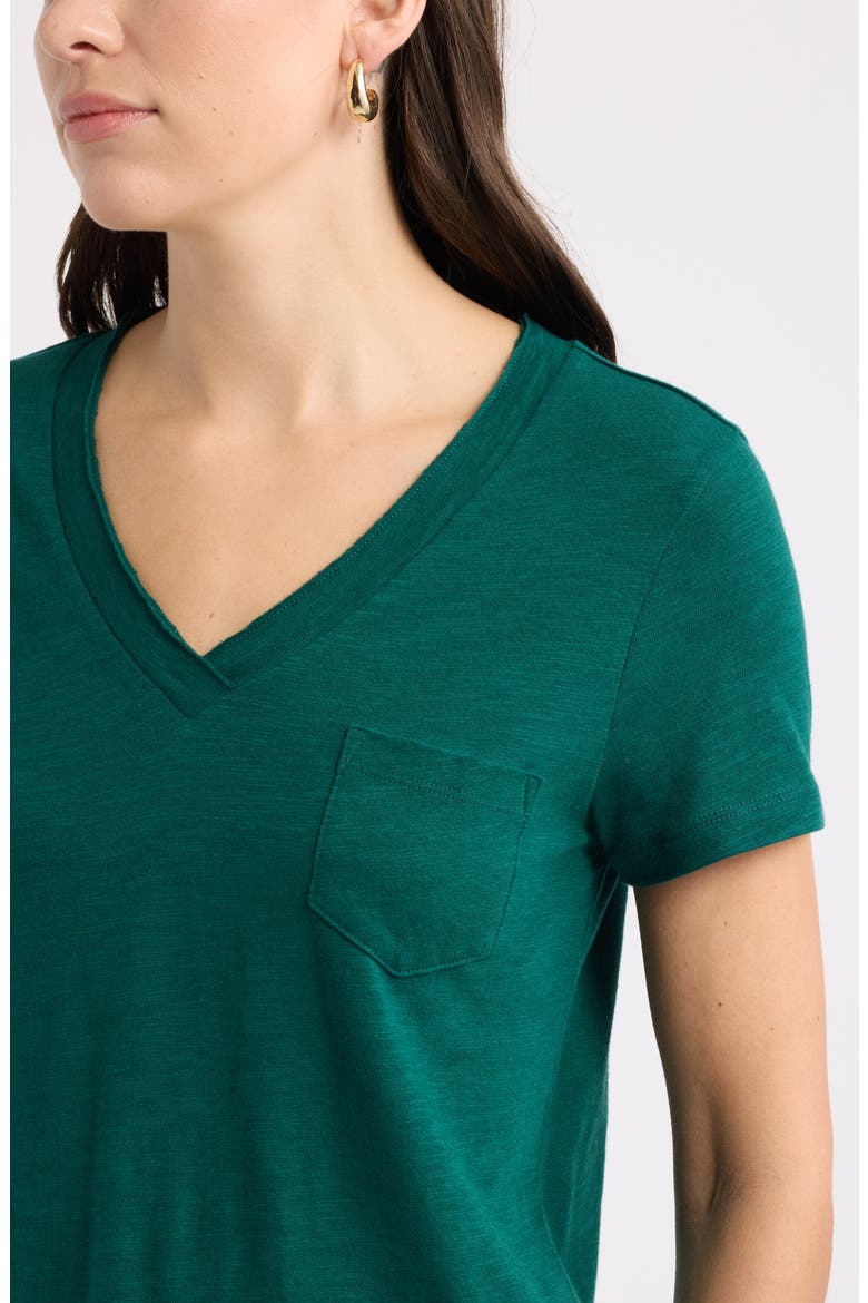 Cotton & Modal V-Neck T-Shirt, Alternate, color, GREEN BOTANICAL