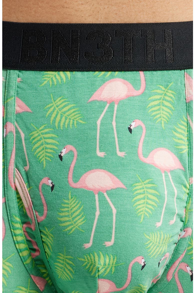 Classic Icon Boxer Briefs, Alternate, color, FLAMINGOS-SPRUCE