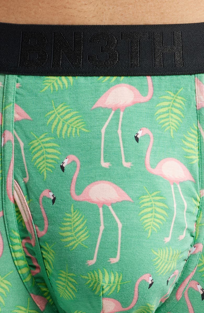 BN3TH Classic Icon Boxer Briefs, Alternate, color, Flamingos-Spruce