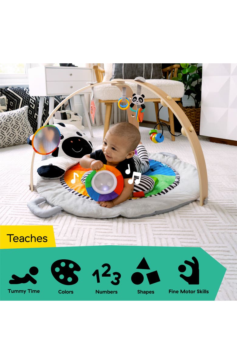 Baby Einstein Zen's Activity Milestones Plush Gym, Alternate, color, 