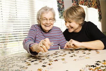 Christmas Birds 1000 piece Jigsaw Puzzle for Adults