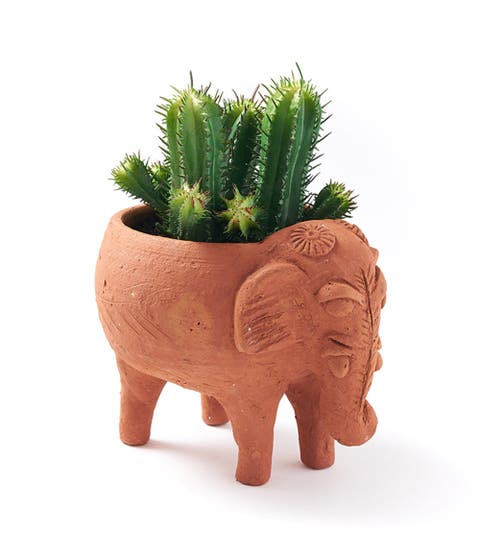Rakshana Plant Pot