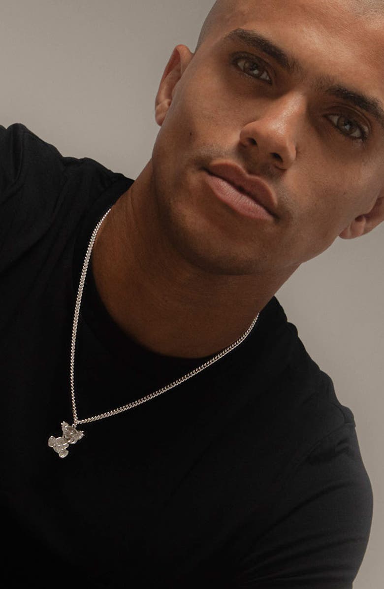 YOJ Teddy Silver Necklace, Alternate, color, Silver