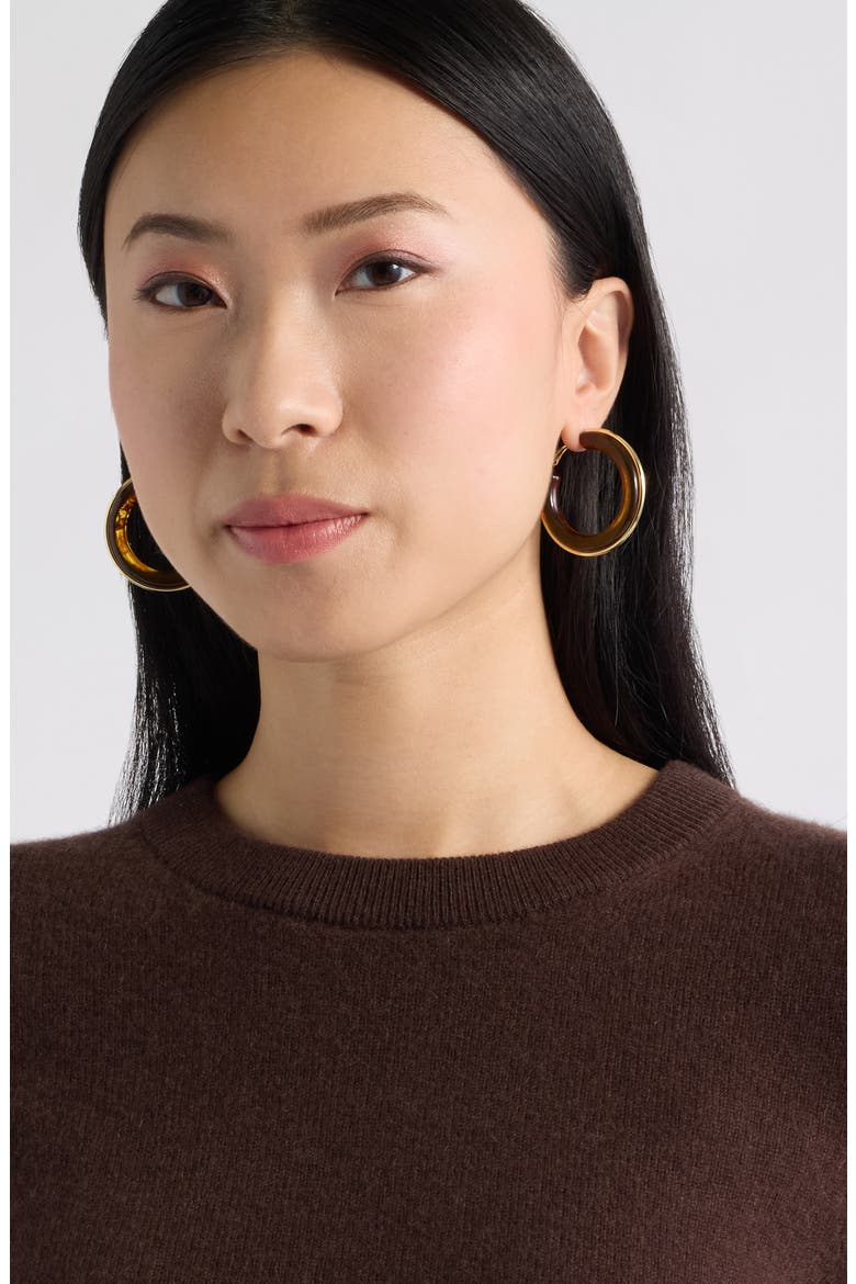 Resin Hoop Earrings, Alternate, color, BROWN- GOLD