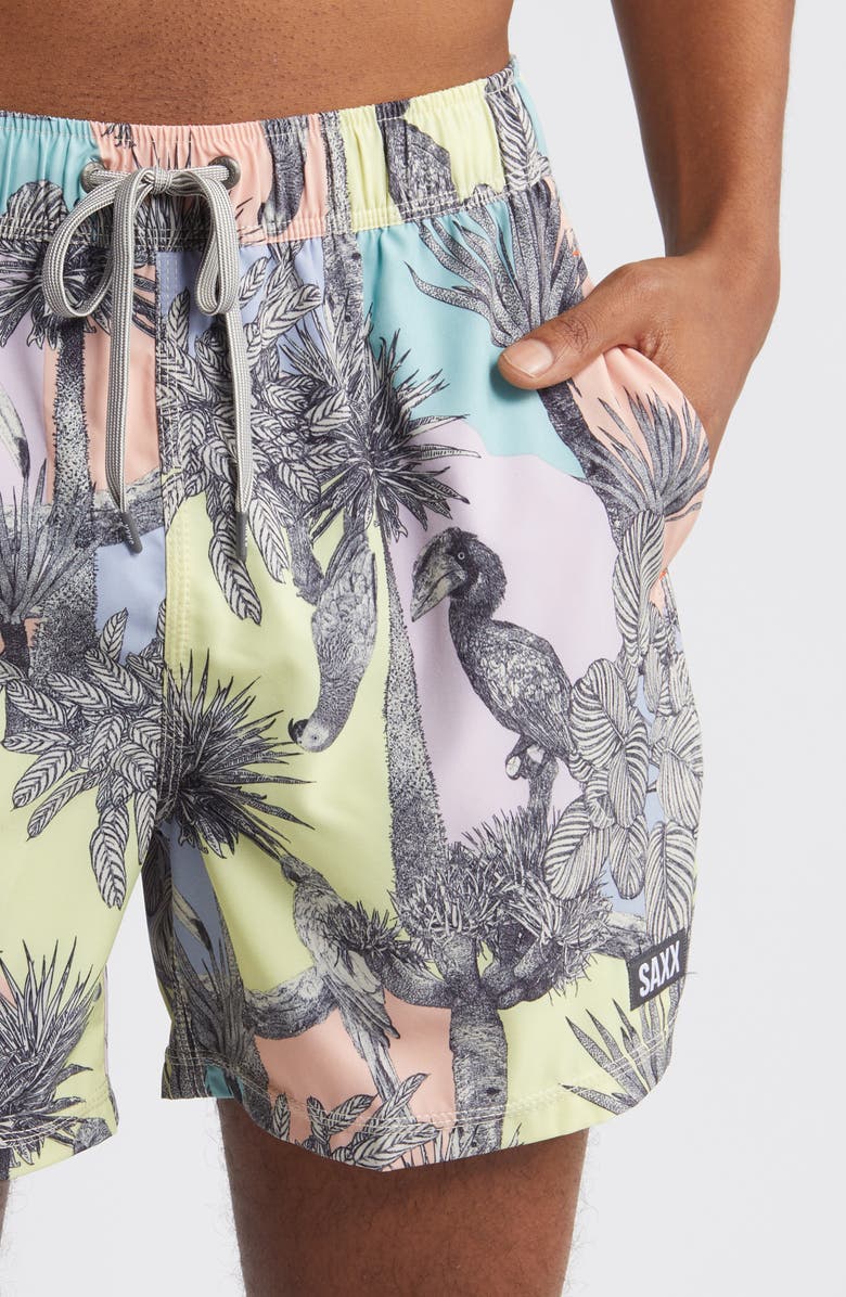 SAXX Oh Buoy Stripe 2-in-1 Hybrid Shorts, Alternate, color,