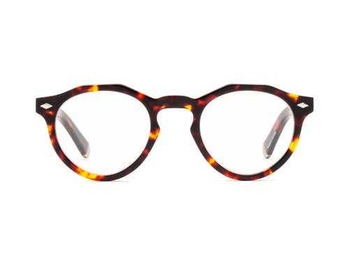 Shop Caddis Dogleg | Reading Glasses