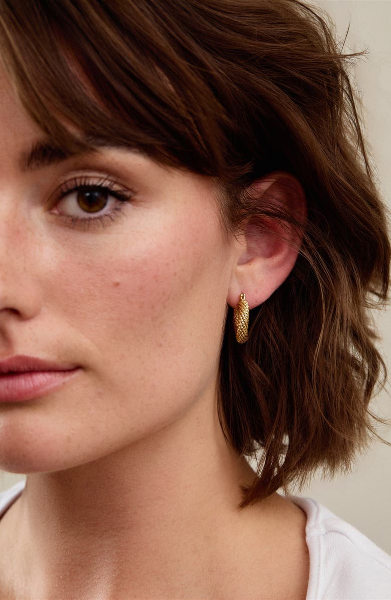 Set & Stones Isabelle Hoop Earrings, Alternate, color, Gold