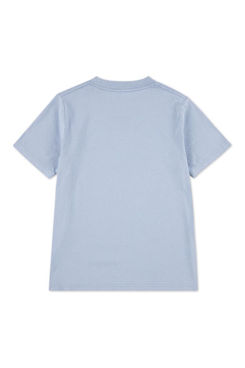 Kids' Fast Cotton Graphic T-Shirt, Alternate, color, RAINWASHED