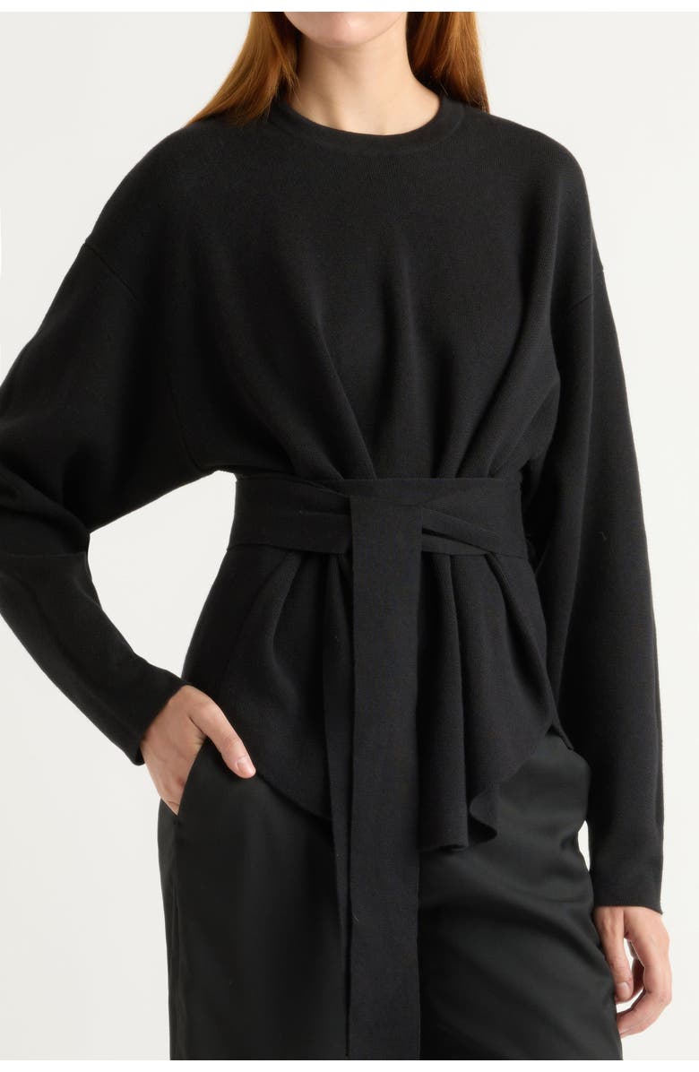 Modern Citizen Nara Tie-Front Knit Sweater, Alternate, color,