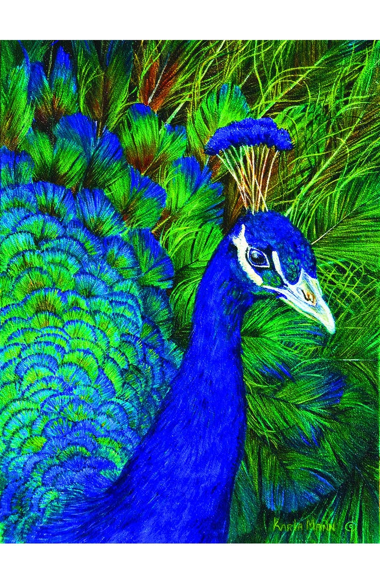 Sunsout Peacock 1000 piece Jigsaw Puzzle for Adults, Alternate, color, Multicolor