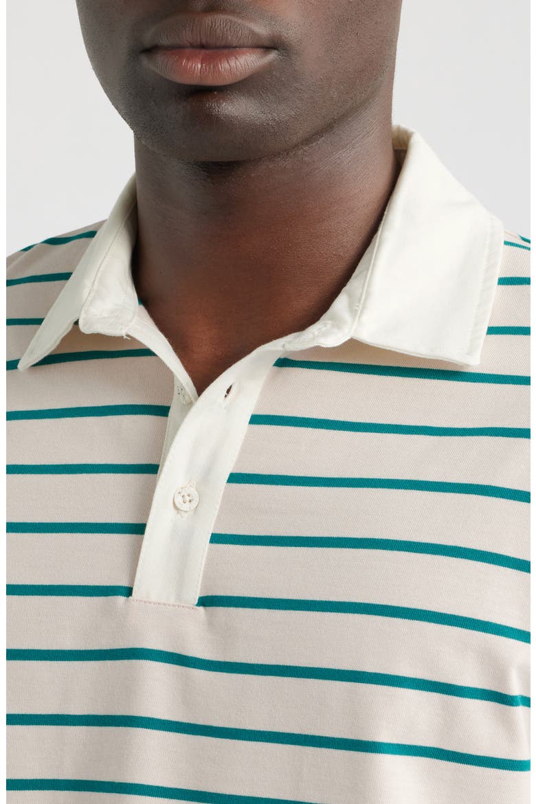 Stripe Cotton Polo, Alternate, color, MAUVE CHALK