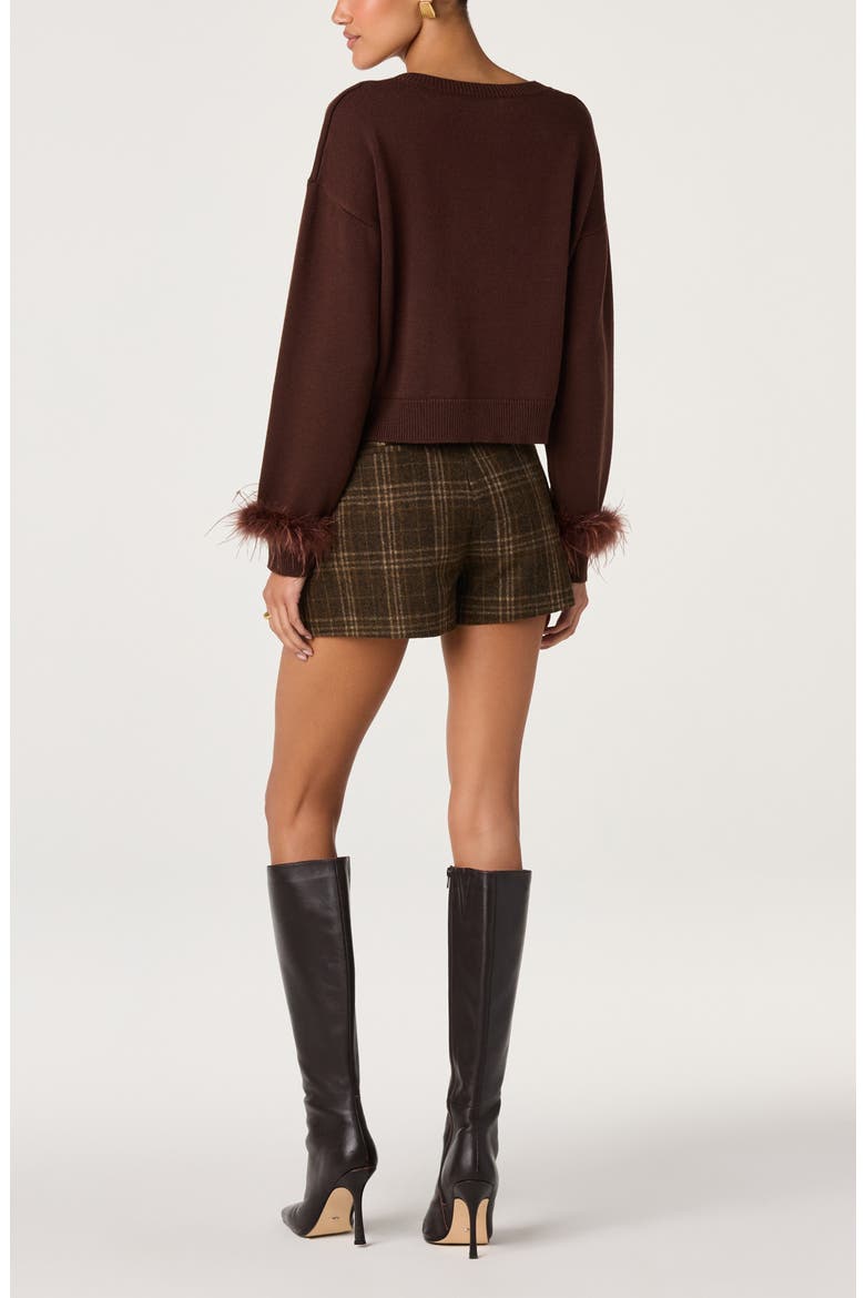 Perdita Feather Trim V-Neck Sweater, Alternate, color, BROWN
