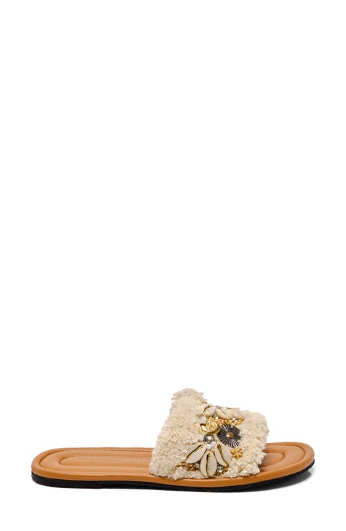 Shop Free People Shipwreck Shell Slide Sandal In Ivory