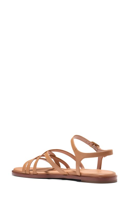 Cole Haan Flynn Strappy Sandal In Biscuit Leather