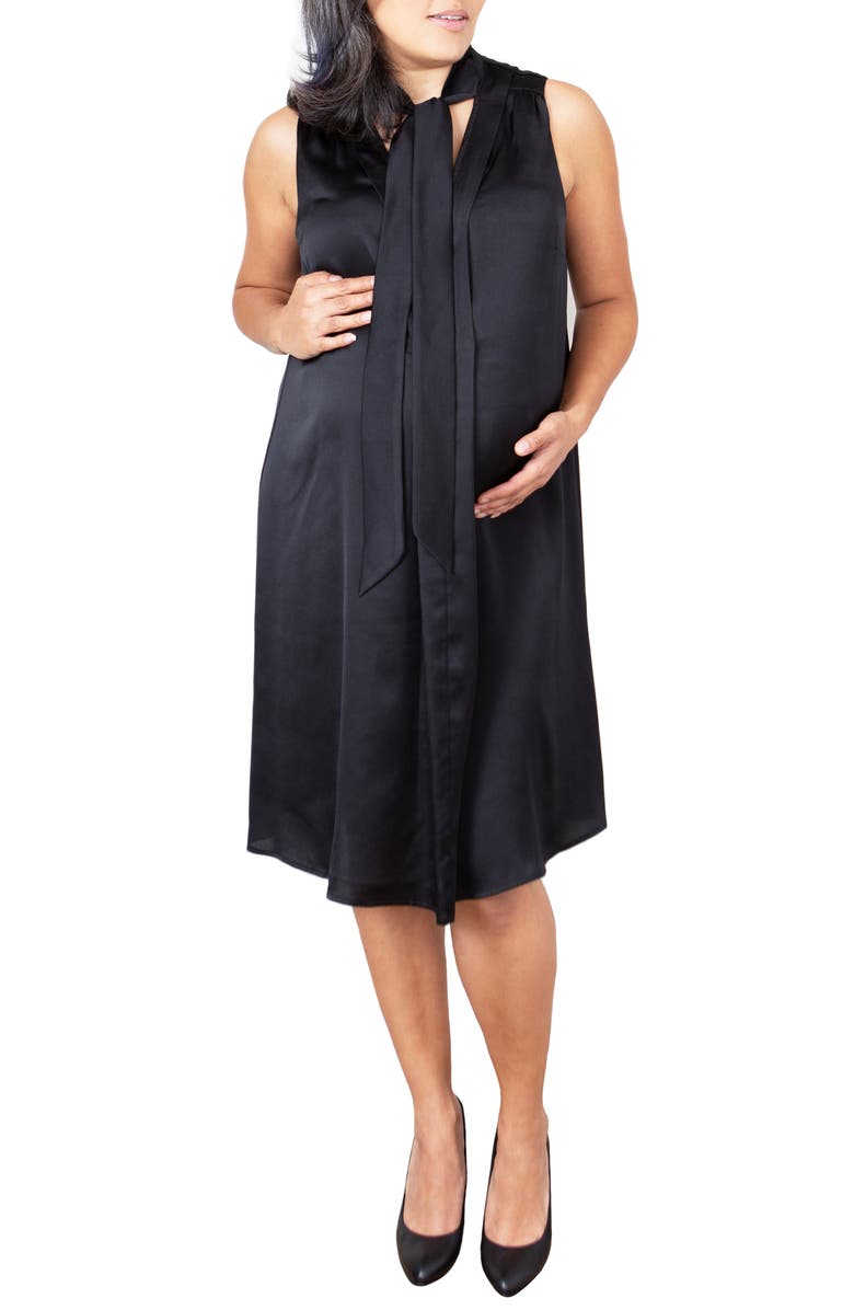 Emilia George Zena Maternity/Nursing Dress, Main, color,