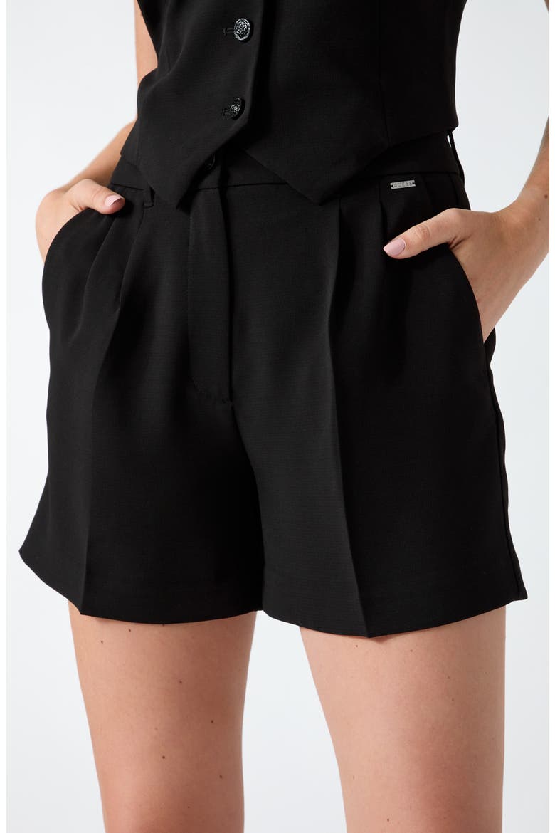 Theoline Pleated Shorts, Alternate, color, JBLACK-BLACK
