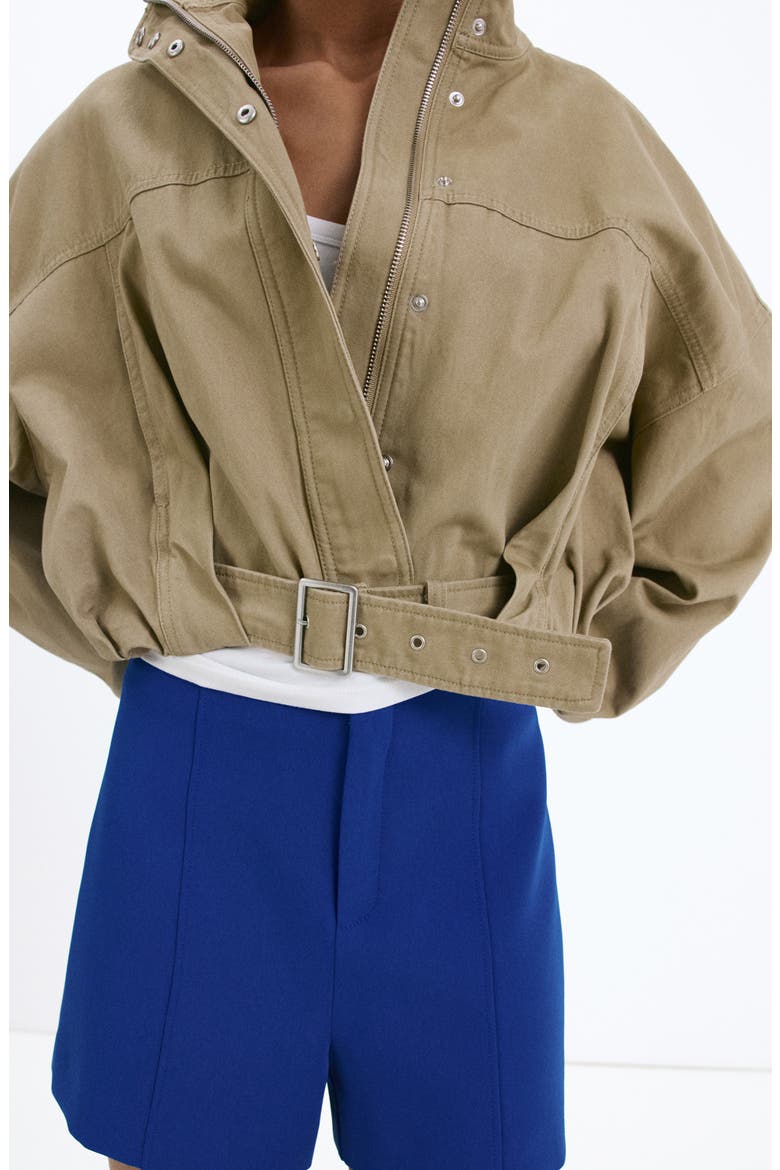 Front Seam Shorts, Alternate, color, BLUE