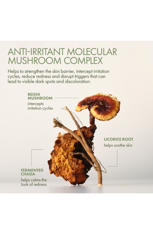 Origins Mega-mushroom Barrier Rescue Concentrated Serum In No Color
