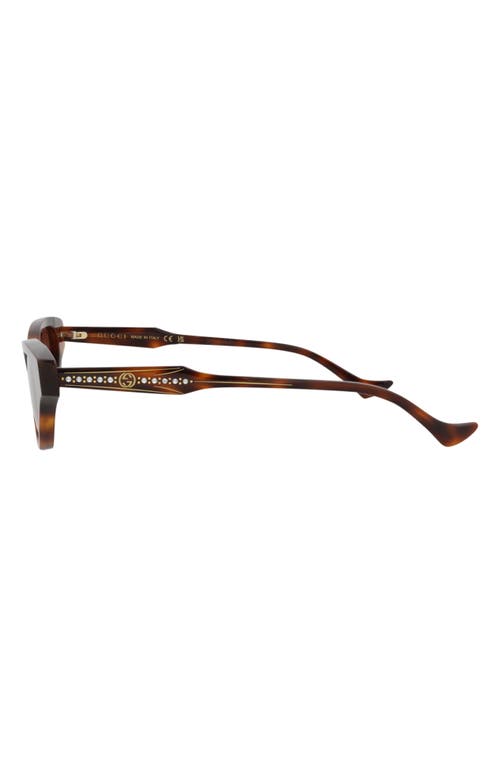 GUCCI GUCCI 51MM CAT EYE SUNGLASSES